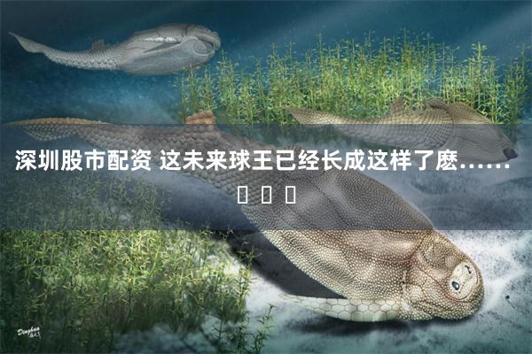 深圳股市配资 这未来球王已经长成这样了麽…… ​​​