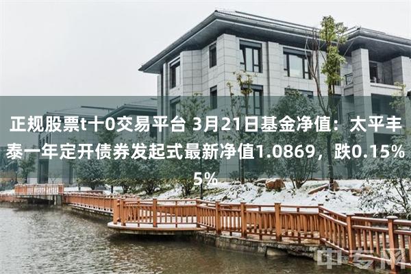 正规股票t十0交易平台 3月21日基金净值：太平丰泰一年定开债券发起式最新净值1.0869，跌0.15%