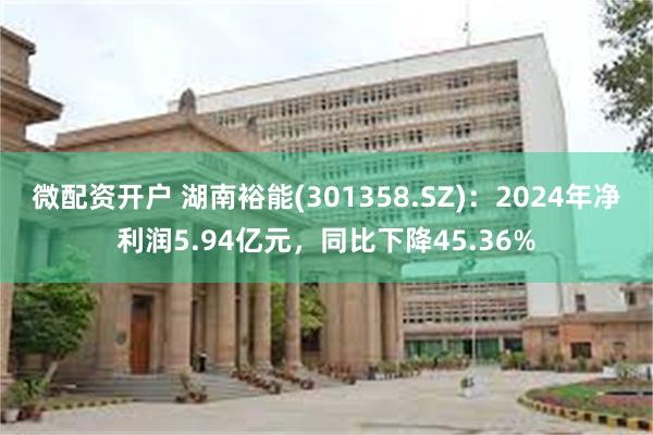 微配资开户 湖南裕能(301358.SZ)：2024年净利润5.94亿元，同比下降45.36%