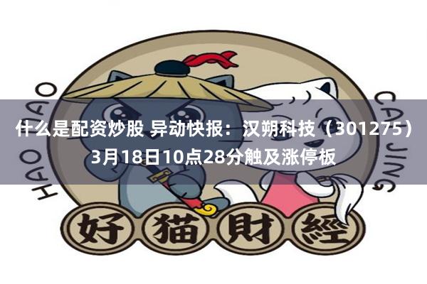 什么是配资炒股 异动快报：汉朔科技（301275）3月18日10点28分触及涨停板