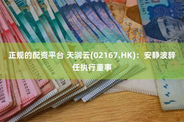 正规的配资平台 天润云(02167.HK)：安静波辞任执行董事