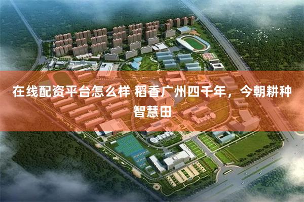在线配资平台怎么样 稻香广州四千年，今朝耕种智慧田