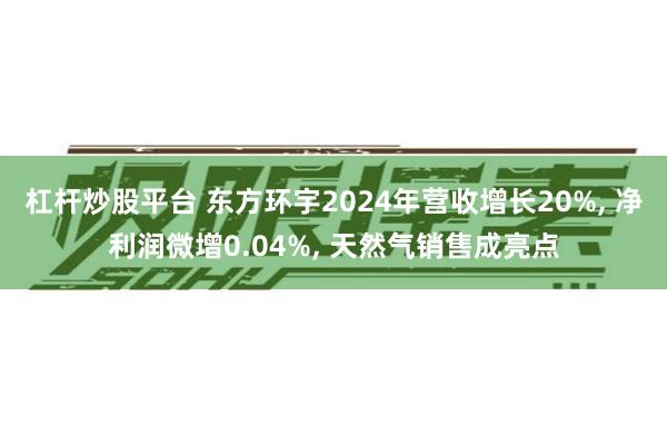 杠杆炒股平台 东方环宇2024年营收增长20%, 净利润微增0.04%, 天然气销售成亮点