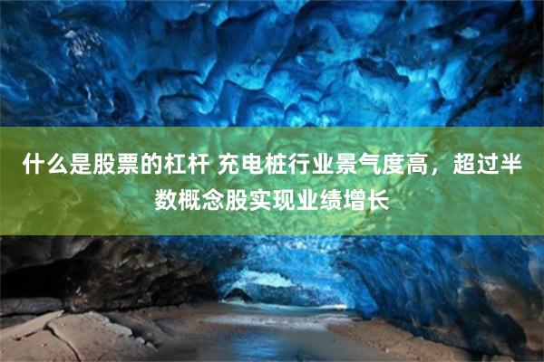 什么是股票的杠杆 充电桩行业景气度高，超过半数概念股实现业绩增长