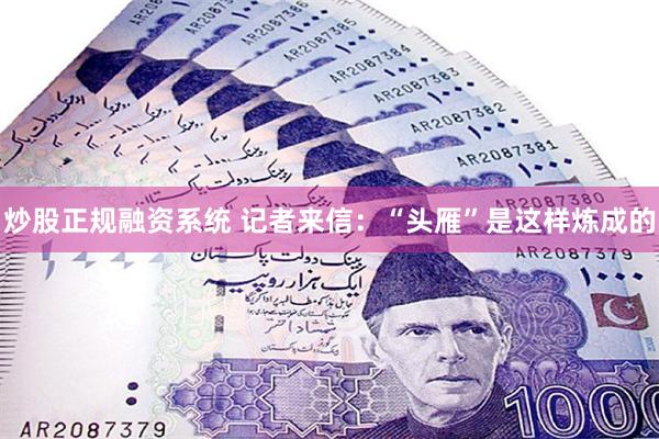 炒股正规融资系统 记者来信：“头雁”是这样炼成的