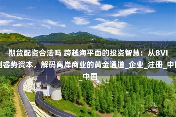 期货配资合法吗 跨越海平面的投资智慧：从BVI到睿势资本，解码离岸商业的黄金通道_企业_注册_中国